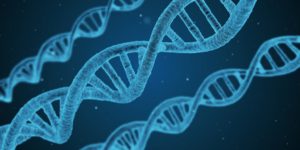 DNA gener mutation genetik sygdom